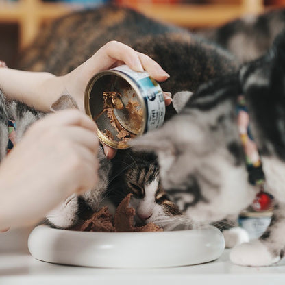 Ziwi巅峰 猫猫无谷主食罐 全口味规格